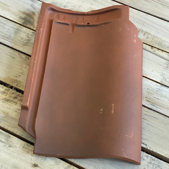 Single Panne S - Burnt Red