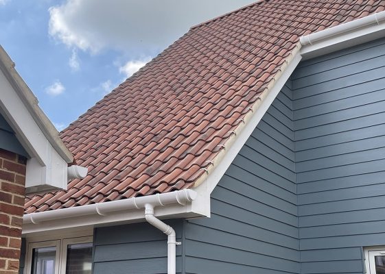 Photo 07-05-2024, 12 45 04