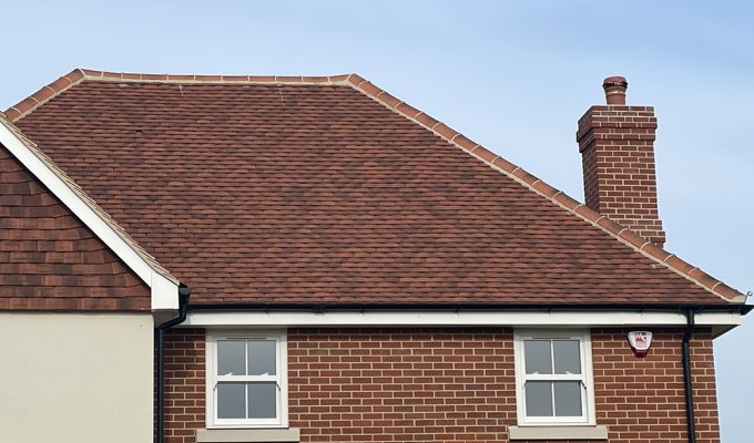 Photo 15-02-2023, 11 12 10